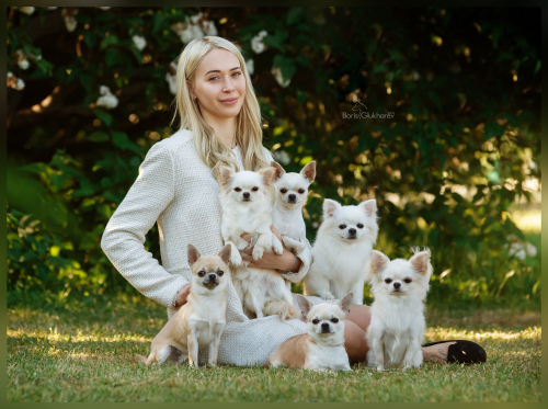 kennel S Lipetskih Ozer